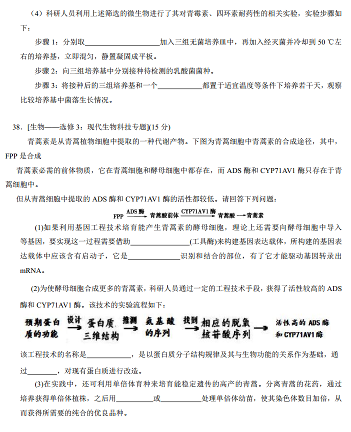 2017������У������ѧ�������������⼰��