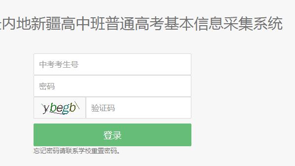 �½��ڳ���������